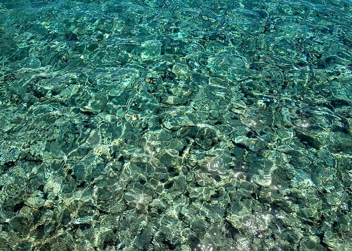 Apartament Kalypso *